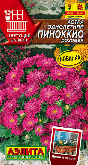 Семена астры «Пиноккио розовая»