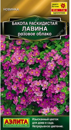 Бакопа раскидистая «Лавина розовое облако»