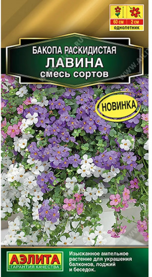 Бакопа раскидистая, смесь сортов «Лавина»