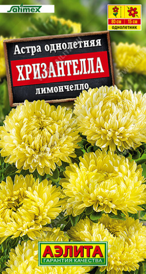 Семена астры «Хризантелла лимончелло»