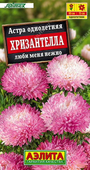 Семена астры «Хризантелла люби меня нежно»