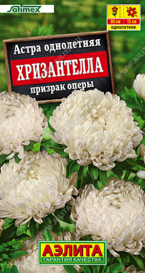 Семена астры «Хризантелла призрак оперы»