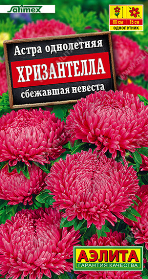 Семена астры «Хризантелла сбежавшая невеста»