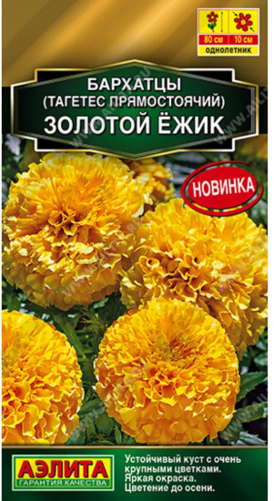 Семена бархатцев прямостоячих «Золотой ёжик»