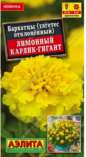Семена бархатцев отклоненных «Лимонный карлик-гигант»
