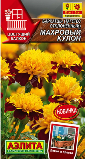 Бархатцы отклоненные «Махровый кулон»
