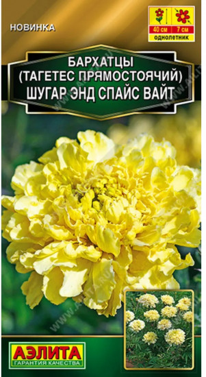 Семена бархатцев прямостоячих «Шугар энд спайс вайт»