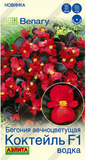 Семена бегонии вечноцветущей «Коктейль F1 водка»
