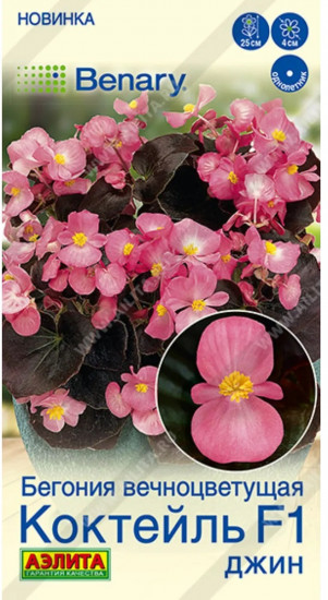 Семена бегонии вечноцветущей «Коктейль F1 джин»