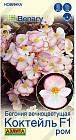 Семена бегонии вечноцветущей «Коктейль F1 ром»