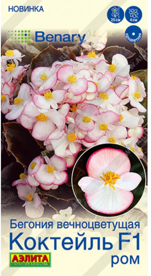 Семена бегонии вечноцветущей «Коктейль F1 ром»
