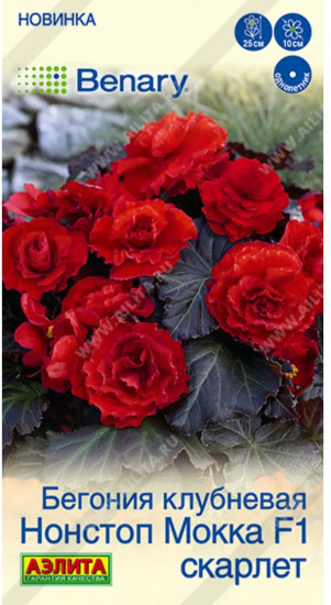 Семена бегонии клубневой «Нонстоп мокка F1 черри»
