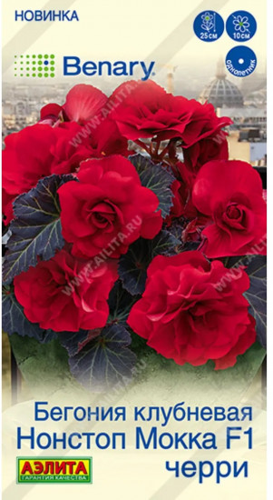 Семена бегонии клубневой «Нонстоп мокка F1 черри»