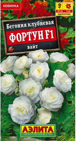 Бегония клубневая «Фортун F1 вайт»