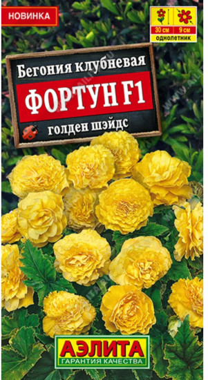 Бегония клубневая «Фортун F1 голден шэйдс»