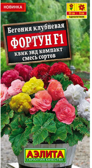 Бегония клубневая, смесь сортов «Фортун F1 квик энд компакт»