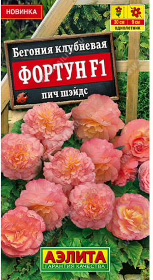 Бегония клубневая «Фортун F1 пич шэйдс»