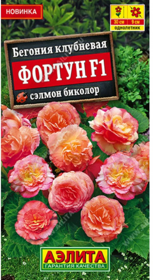 Бегония клубневая «Фортун F1 сэлмон биколор»
