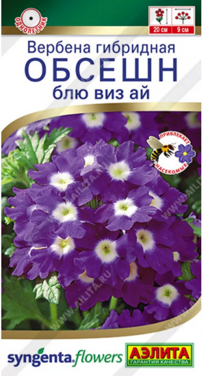 Семена вербены гибридной «Обсешн блю виз ай»