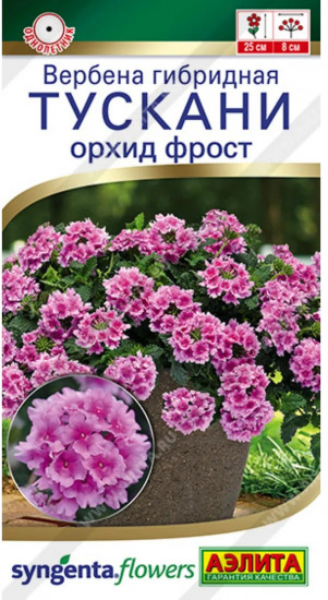 Семена вербены гибридной «Тускани орхид фрост»