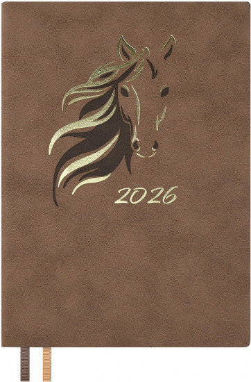 Ежедневник датированный на 2026 год