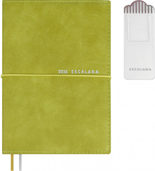 Ежедневник датированный на 2026 год