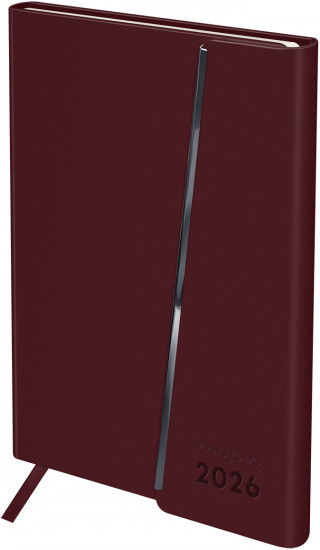 Ежедневник датированный