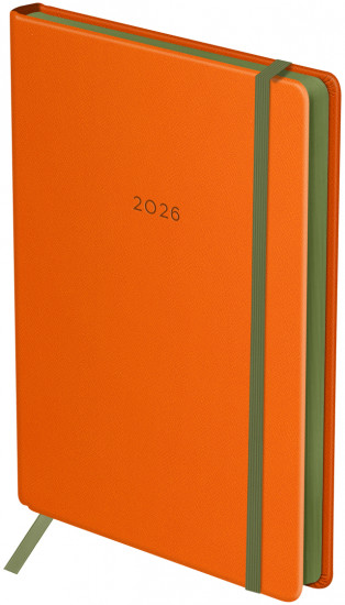 Ежедневник датированный на 2026 год