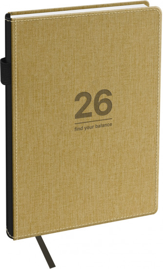 Ежедневник датированный на 2026 год