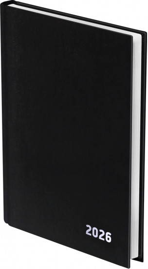 Ежедневник датированный на 2026 год