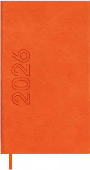 Ежедневник датированный на 2026 год