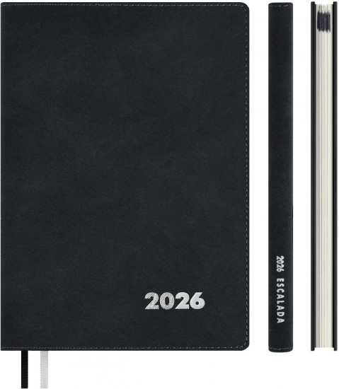 Ежедневник датированный на 2026 год