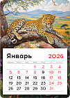 Календарь отрывной на магните на 2026 год «Леопард»