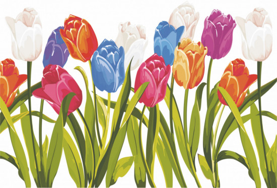 Фотообои «Тюльпаны»