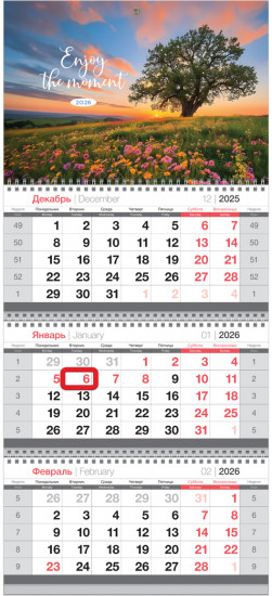 Календарь на 2026 год квартальный «Цветущий закат»