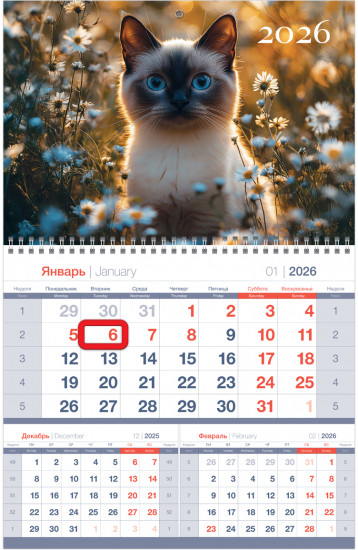 Календарь на 2026 год квартальный «Кот в цветах»