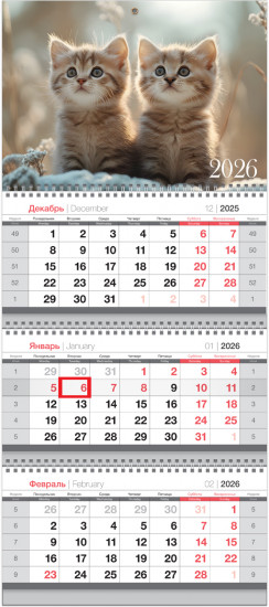 Календарь на 2026 год квартальный «Котята»