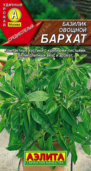 Семена базилика овощного «Бархат»