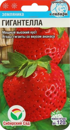 Семена земляники «Гигантелла»