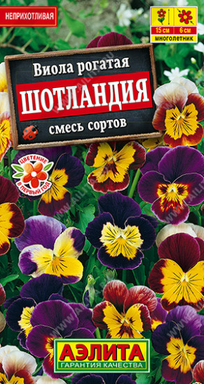 Семена виолы, смесь сортов «Шотландия»