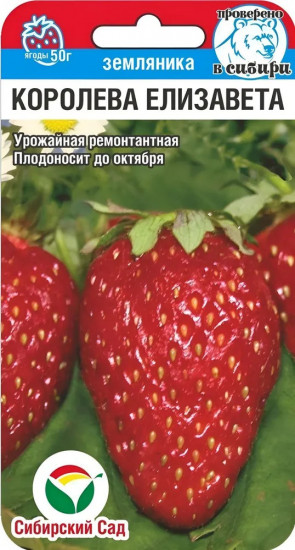Семена земляники «Королева Елизавета»
