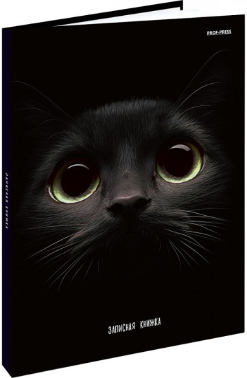 Книжка записная «Взгляд кота»