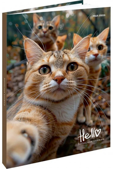 Книжка записная «Фотография котиков»