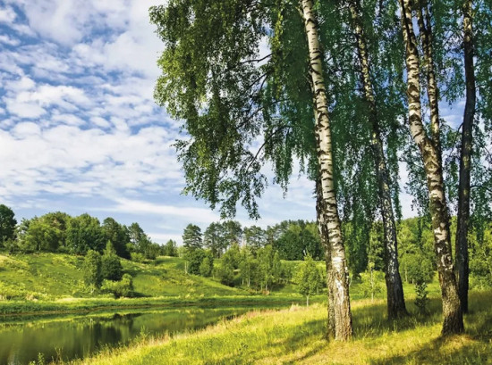Календарь квартальный на 2026 год «Пейзаж»