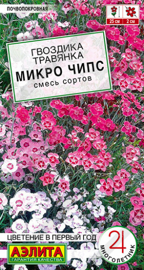 Семена гвоздики, смесь сортов «Микро чипс»