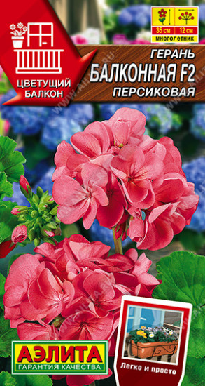 Семена герани «Балконная персиковая F2»