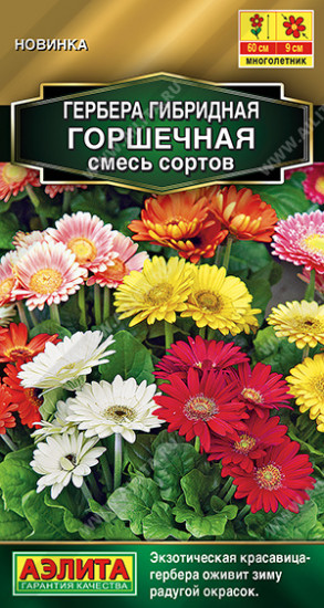 Семена герберы, смесь сортов «Горшечная»