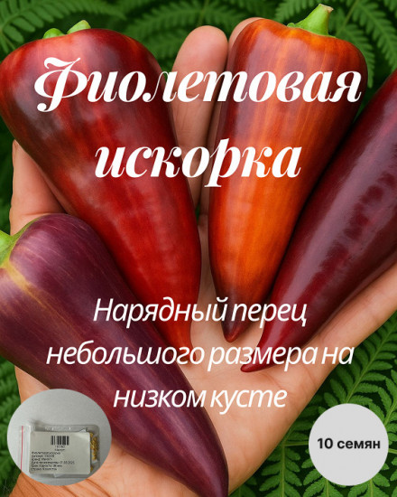 Коллекционные семена томата «Фиолетовая искорка»