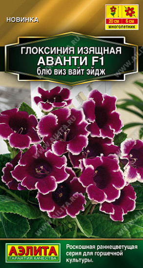Семена глоксинии «Аванти F1 блю виз вайт эйдж»