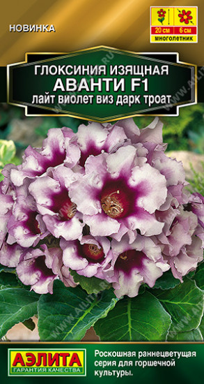 Семена глоксинии «Аванти F1 лайт виолет виз дарк троат»